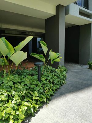 Difusão COB Iluminação exterior LED IP65 resistente à água