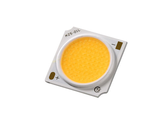 Chip LED à prova d'água COB 30W para iluminação a cores ANSI Standard